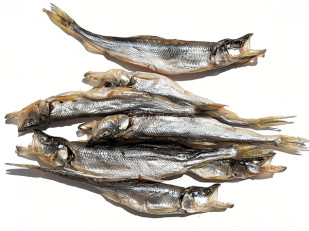 Рыба горячего копчения: Корюшка (мелкая) вяленая (Камчатка)